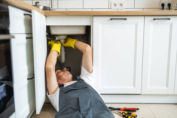 Best Commercial Plumbing Services  in Home, WA